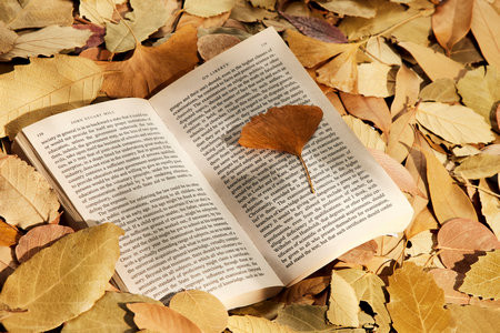 中國(guó)海洋大學(xué)MEM一般幾月份開(kāi)始調(diào)劑？