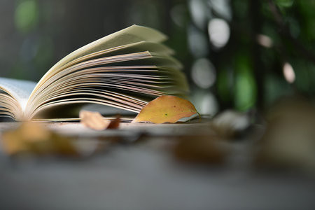 上海財(cái)經(jīng)大學(xué)MF招生簡章2025匯總！