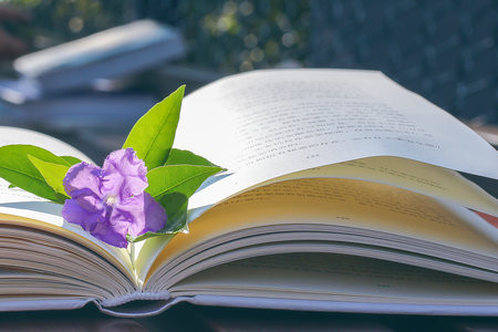 倫敦銀行與金融學院國際博士招生專業(yè)目錄一覽表！