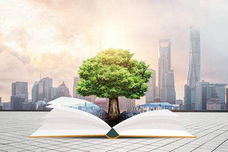 2025年閩江學院在職研究生招生流程