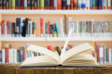 设计学国际博士招生简章2025