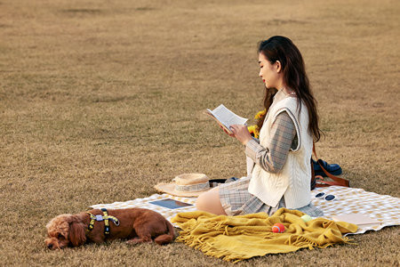 2025年湖北工業(yè)大學(xué)在職研究生招生簡(jiǎn)章