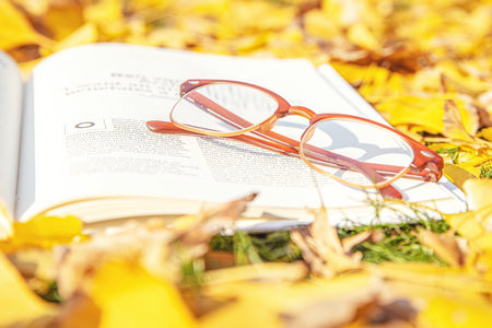 發(fā)展與教育心理學(xué)在職博士招生簡章2025