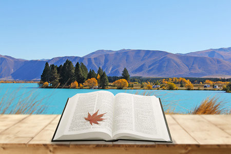 2025年河南工業大學在職研究生招生簡章