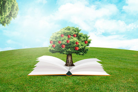 2026农村发展中外合办招生时间