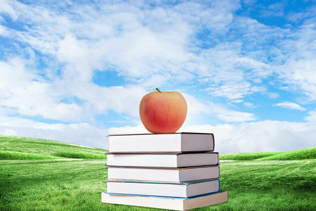 詳解！法國克萊蒙高等商學(xué)院國際碩士招生信息