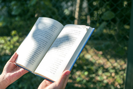 法国亚眠高等商学院国际博士招生简章2026