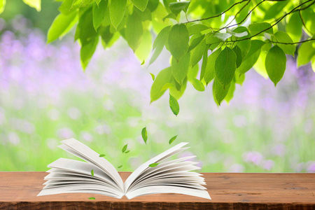 2026年西安財(cái)經(jīng)大學(xué)同等學(xué)力申碩招生專業(yè)一覽表