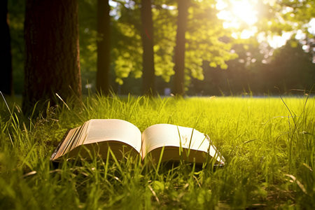 2026社會(huì)醫(yī)學(xué)與衛(wèi)生事業(yè)管理中外合辦招生流程