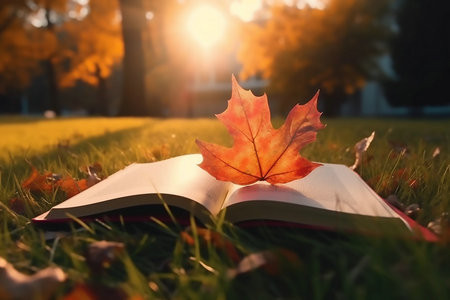 農(nóng)村發(fā)展中外合辦招生簡(jiǎn)章2026