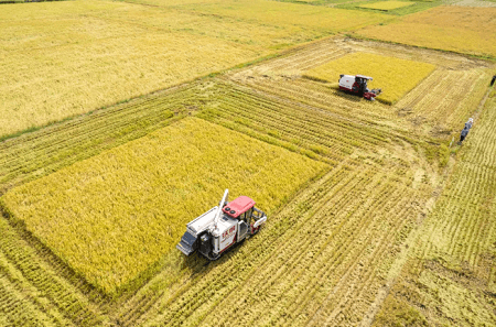 教育部明確了!農(nóng)業(yè)工程類有這7個專業(yè)!