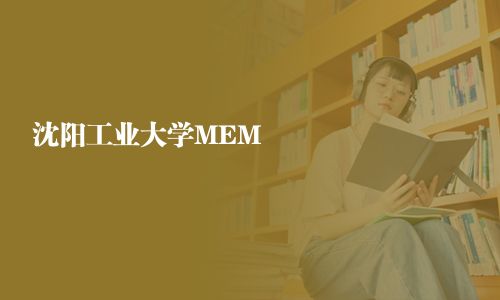 沈陽工業大學MEM