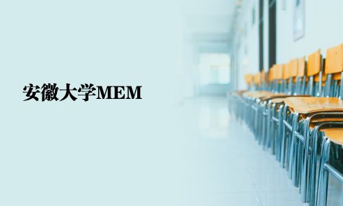 安徽大學(xué)MEM