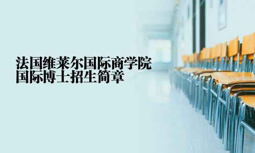 法國維萊爾國際商學院國際博士招生簡章