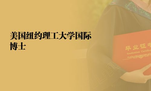美國紐約理工大學國際博士