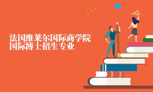 法國維萊爾國際商學院國際博士招生專業
