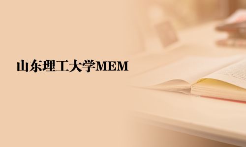 山東理工大學MEM