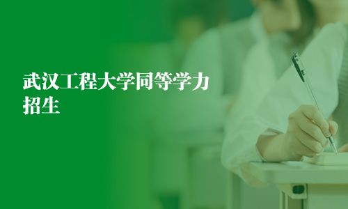 武漢工程大學同等學力招生