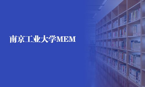南京工業大學MEM