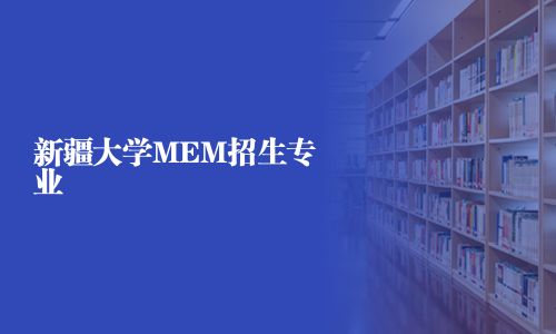 新疆大學MEM招生專業