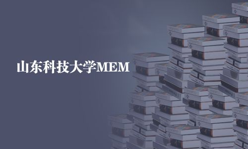 山東科技大學MEM