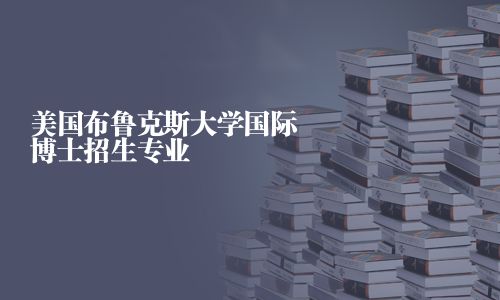 美國布魯克斯大學國際博士招生專業