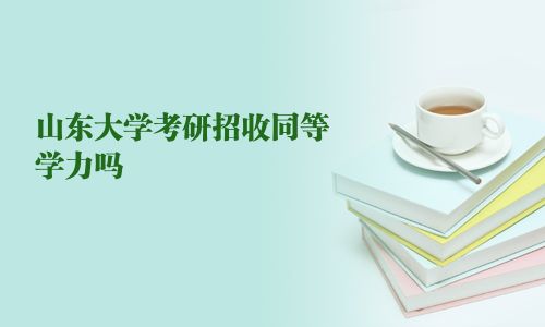 山東大學考研招收同等學力嗎