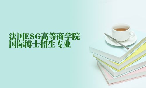 法國ESG高等商學院國際博士招生專業